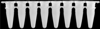 AHN myTube® qPCR Streifen 8 Röhrchen 0,1 mL, weiß, Beutel, Karton / 5 x 10 x 12 Optische Messung...